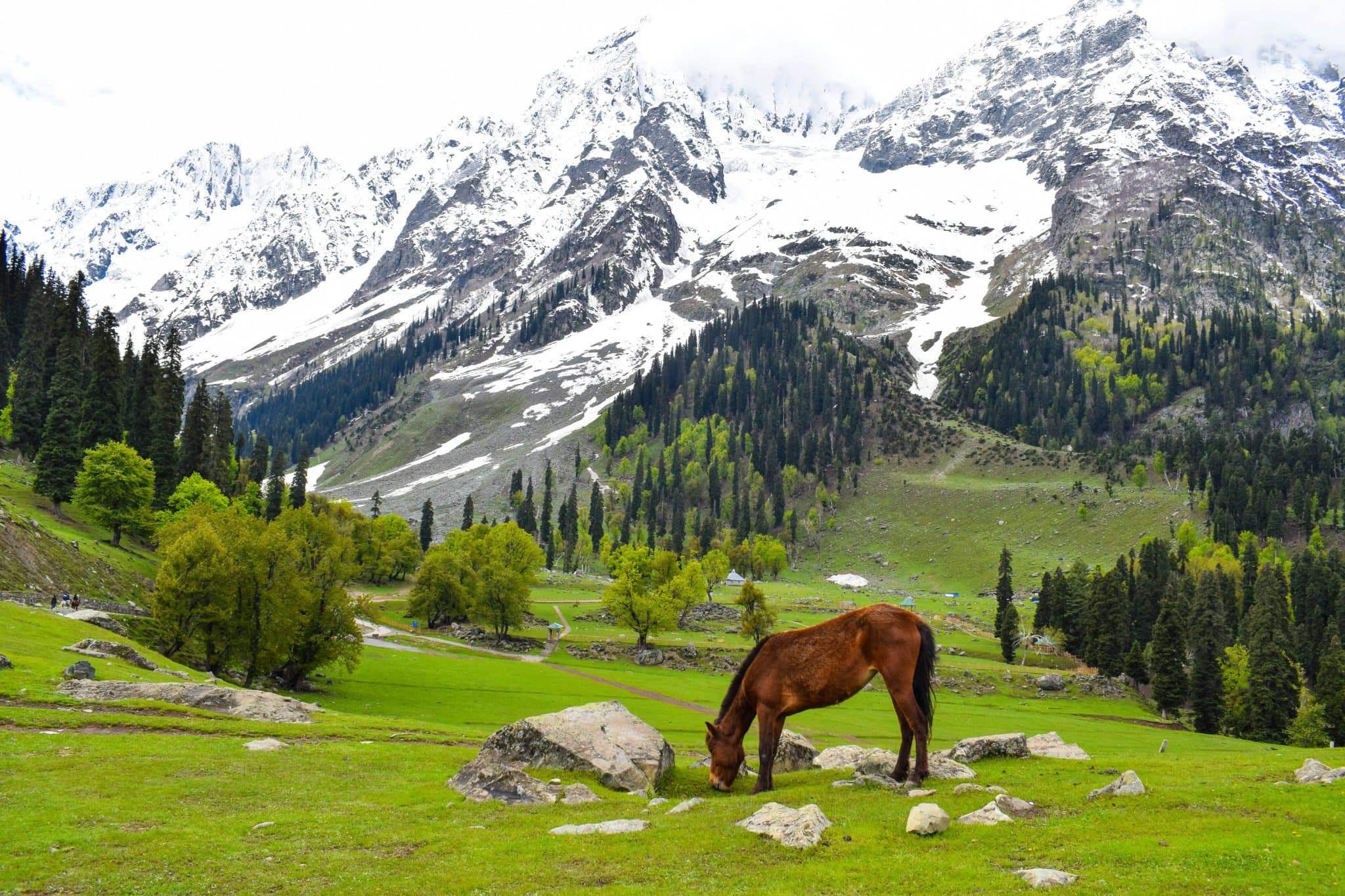 Kashmir Holiday - 3