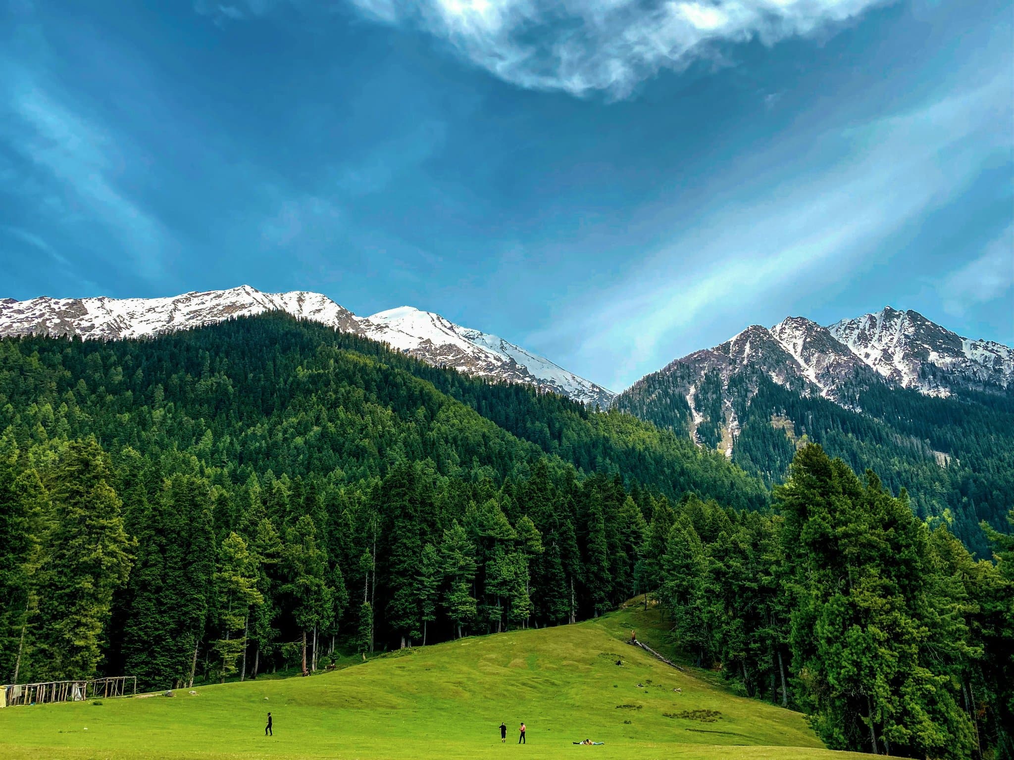 Kashmir Holiday - 2