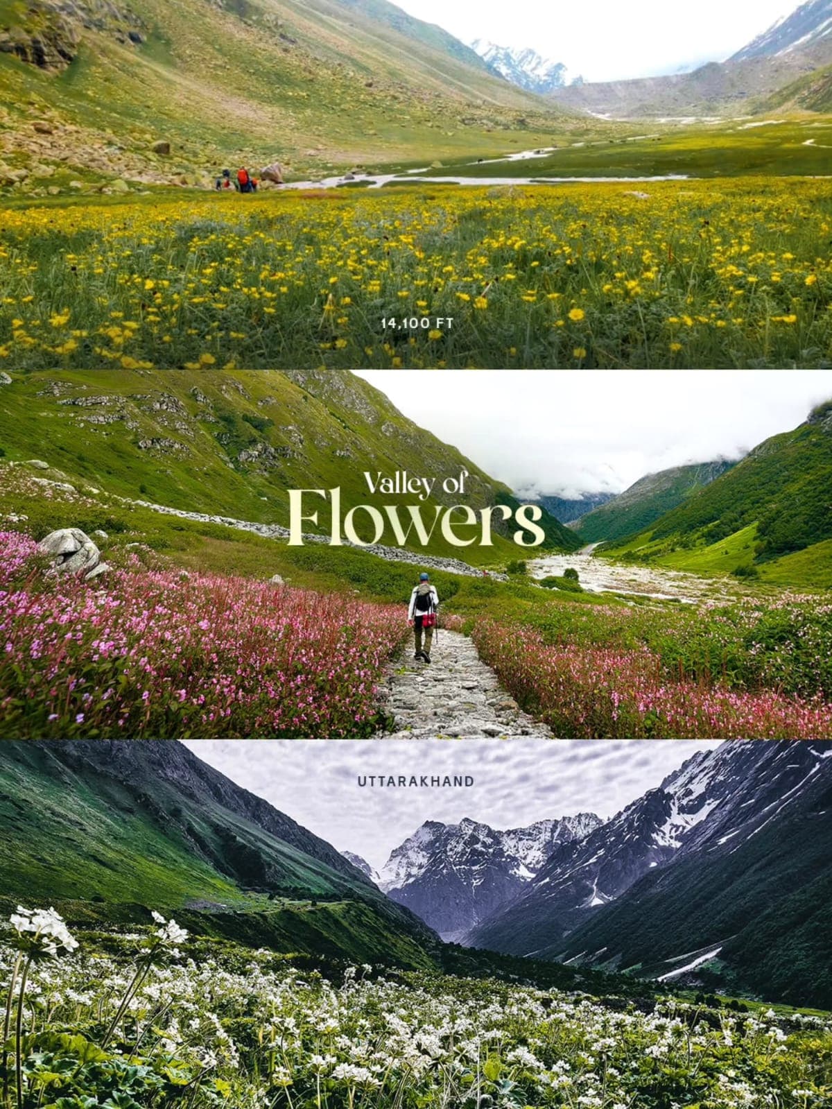 Valley of flower tour - Main